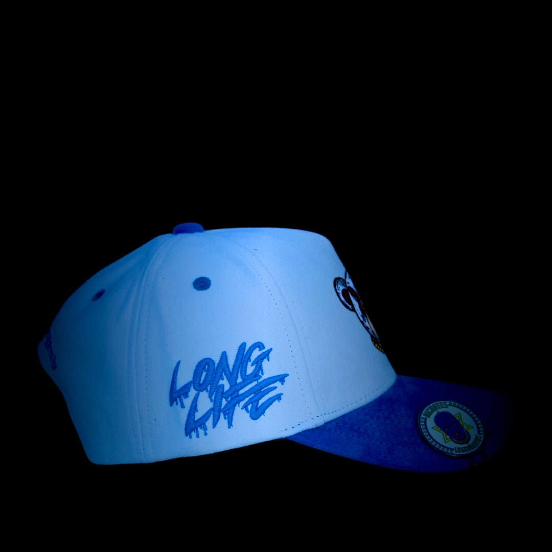 Long Life Tricolor Cap
